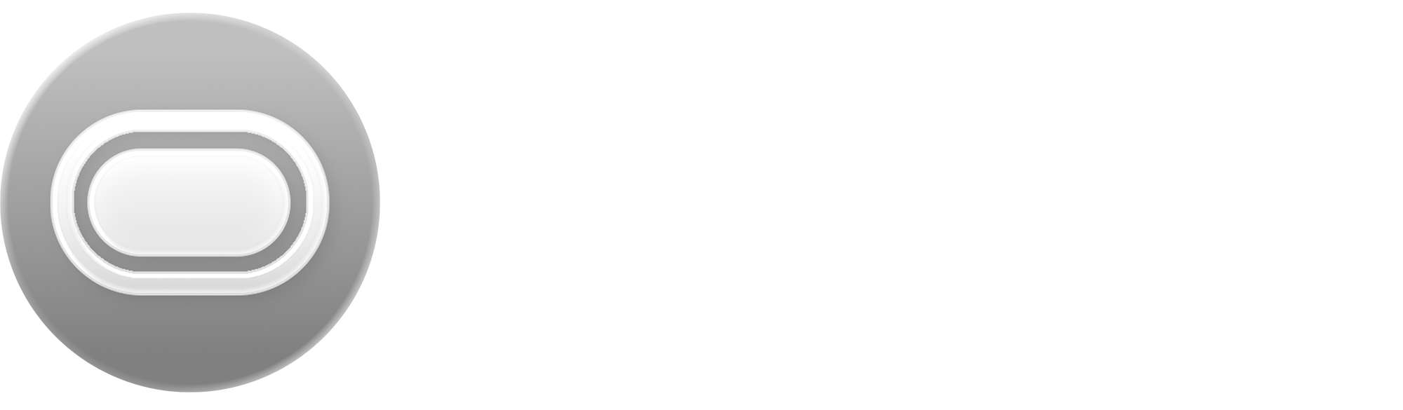 WinIsland-X Banner